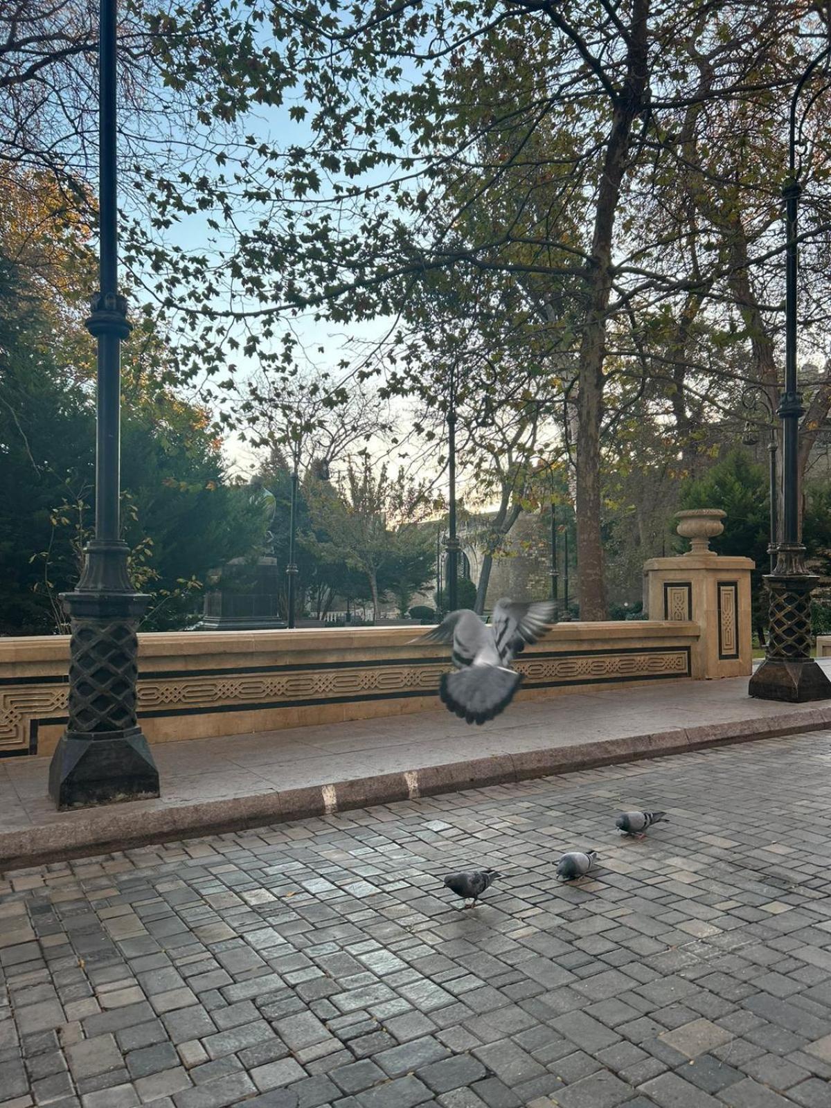 Hostel124 Baku Eksteriør bilde